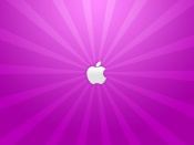 A Purple Apple