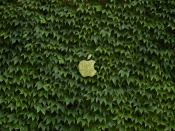Eco Apple wallpaper